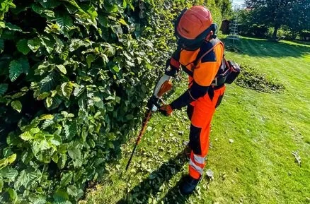 Výzva k údržbě zeleně soukromých vlastníků