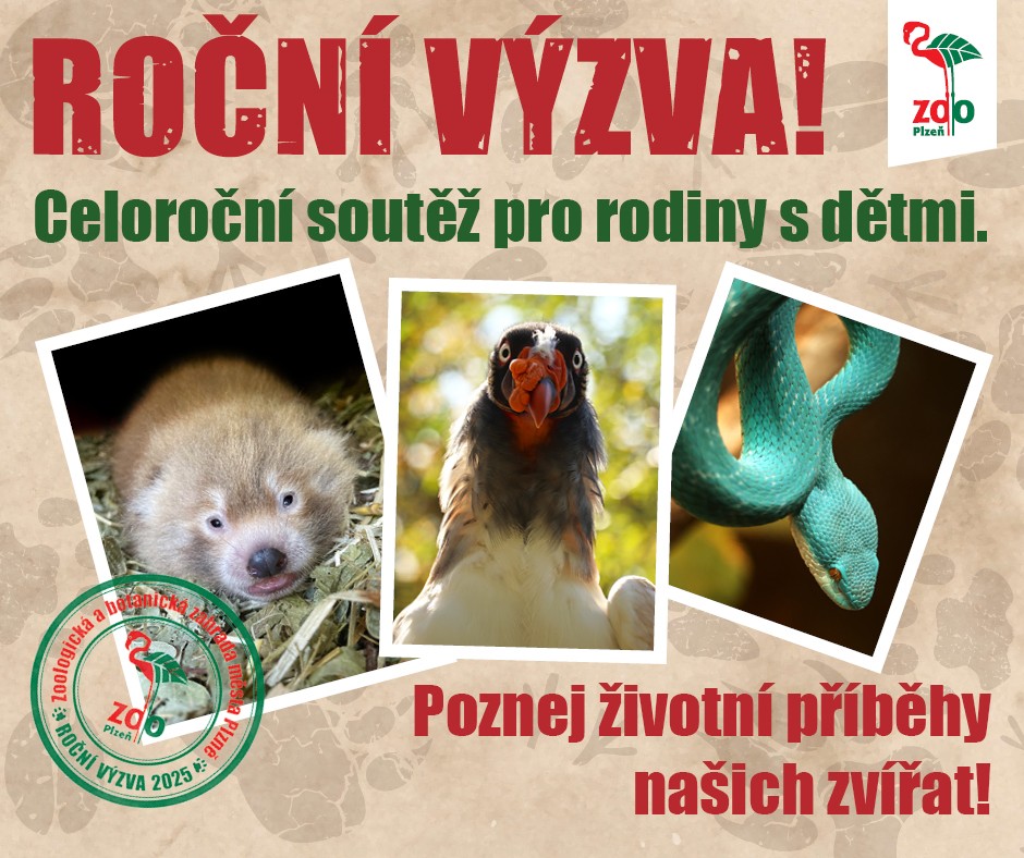 FB-rocni-vyzva2