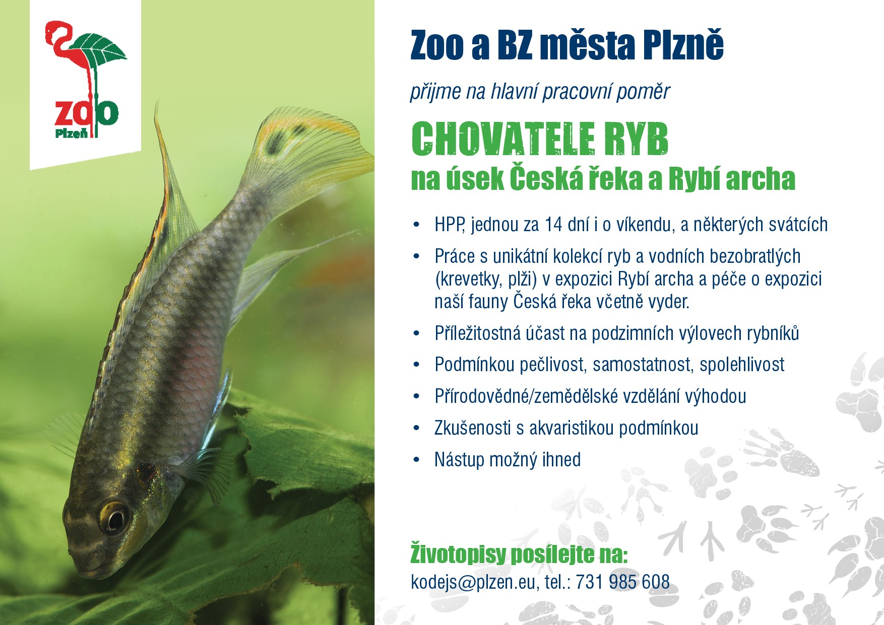 Hledáme chovatele pro Českou řeku a Rybí archu