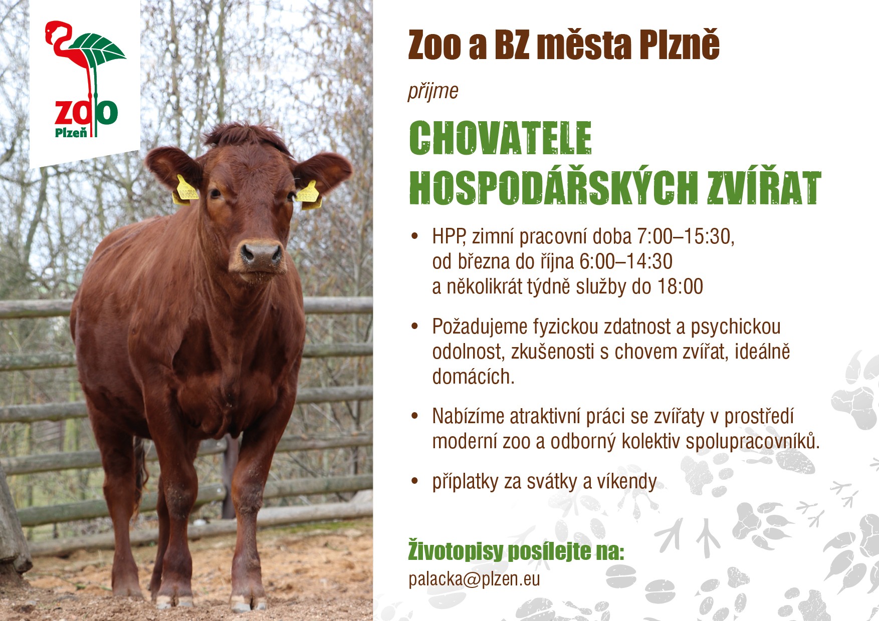 Přijmeme chovatele hospodářských zvířat