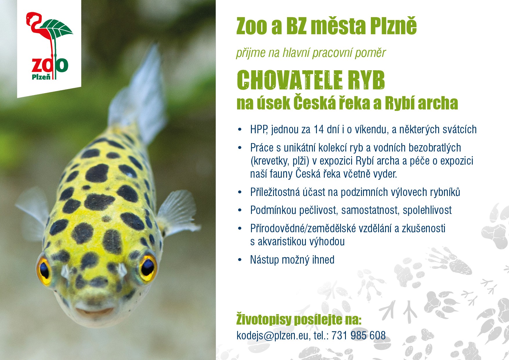 Přijmeme chovatele ryb na úsek Česká řeka a Rybí archa