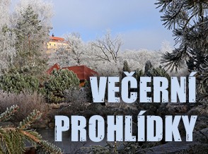 Večerní prohlídka únor 2026