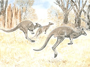 Zoo s Plzeňskou vstupenkou