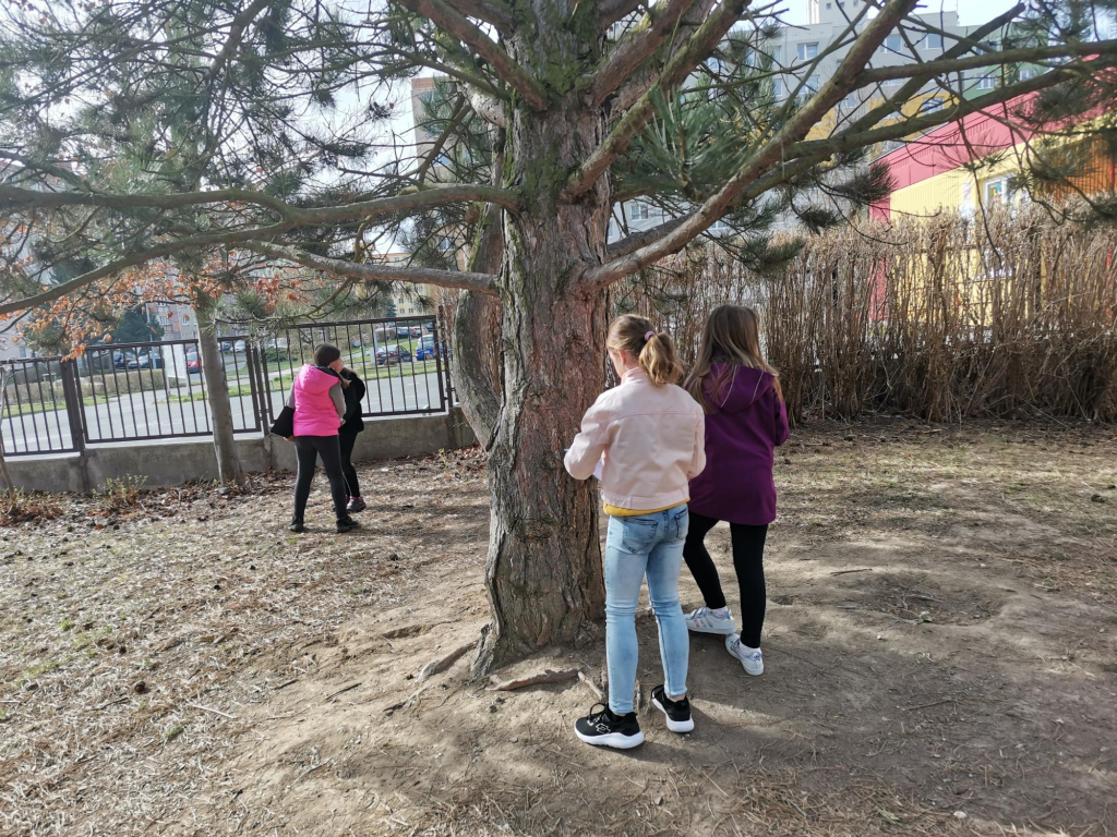 Easter Egg Hunt - angličtina hrou 3. třídy