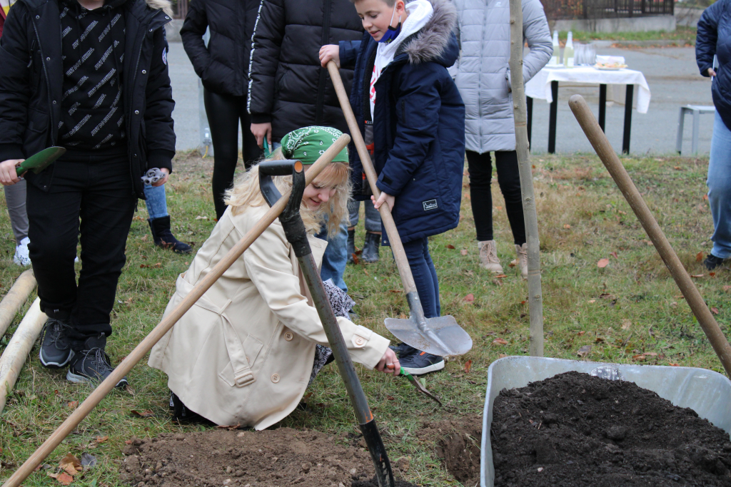 Sázení jubilejního stromu 