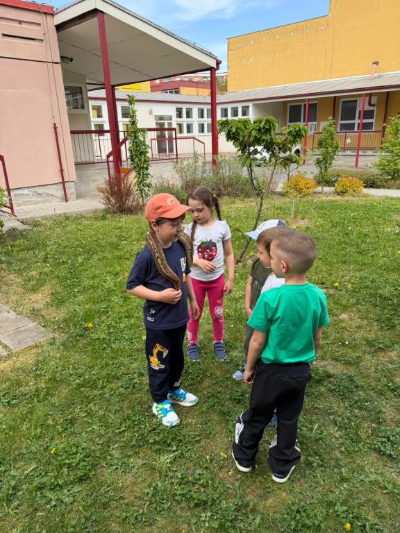 Sovičky, Sluníčka-venčení zvířat