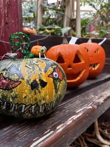 Soutěž o nejlepší halloweenskou dýni