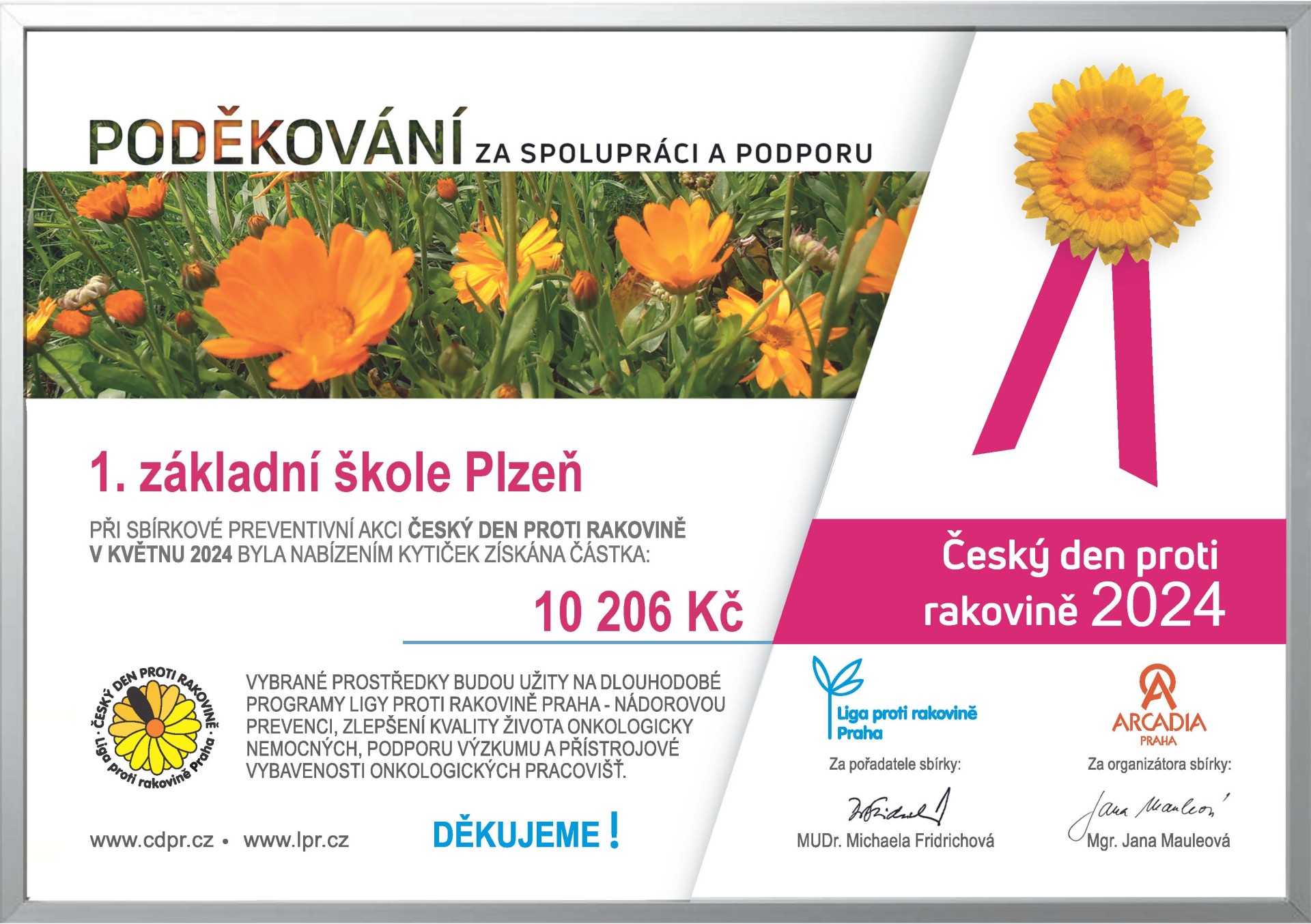 Český den proti rakovině 2024 - sbírka