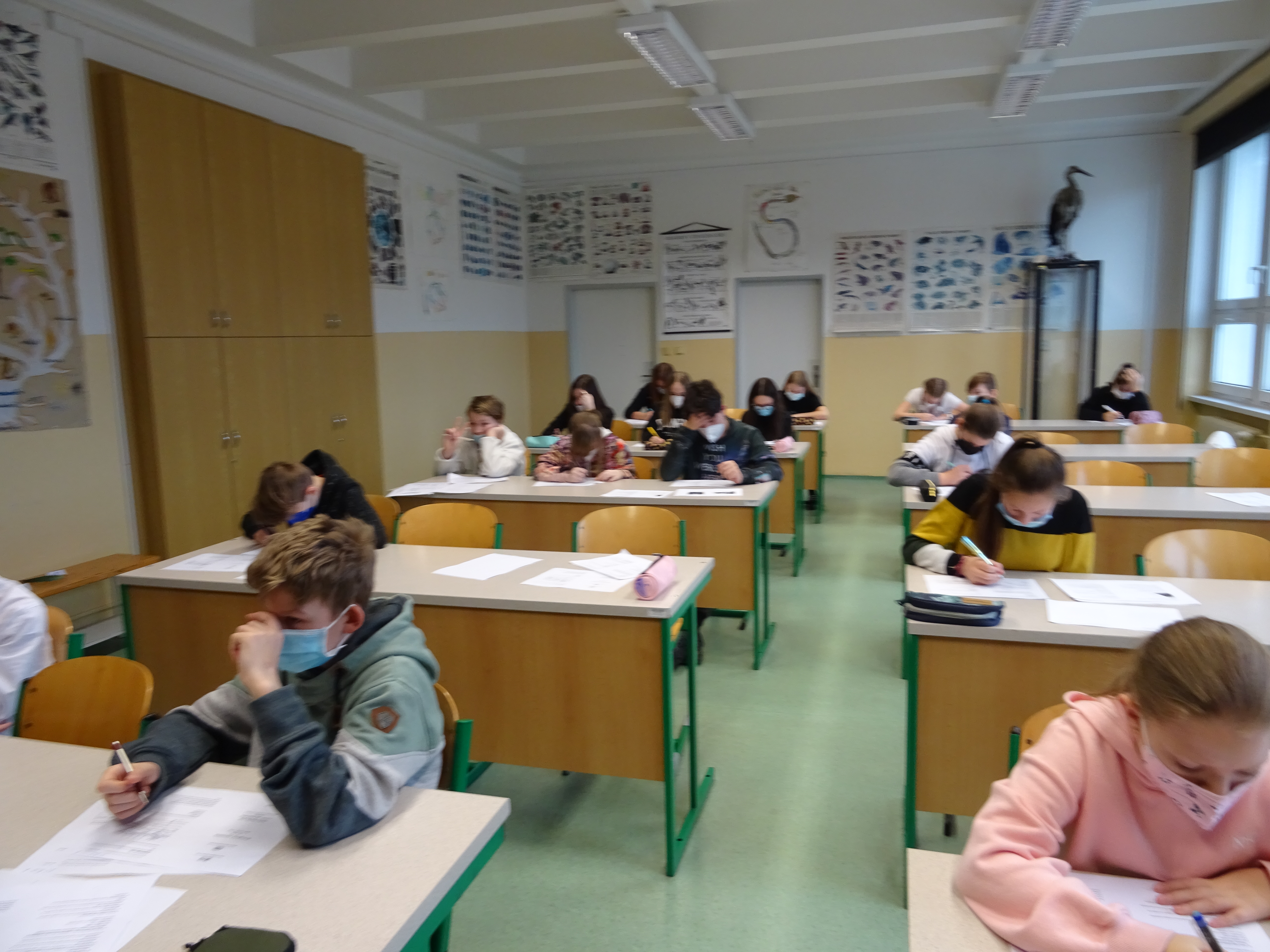 Biologická olympiáda kat. C a D