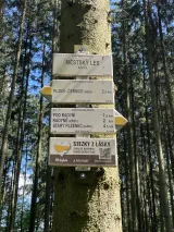 Výlet IV. B