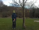 Velikonoční strom