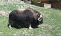 Zoo - 3.C, 5.B