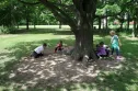 Kolektivní stavba 1. A