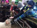 2. A Újezd nade Mží 9. 12. 