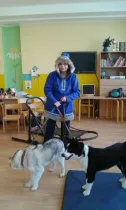 Husky, psí spřežení