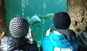 1. C, 2. C, 5. C v Zoo