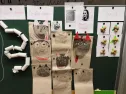 2.B projekt Božena Němcová