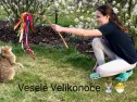 5. A domácí výuka a Velikonoční přání