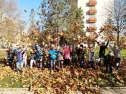 1. B Online a podzim
