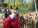 Zoo, 4.A