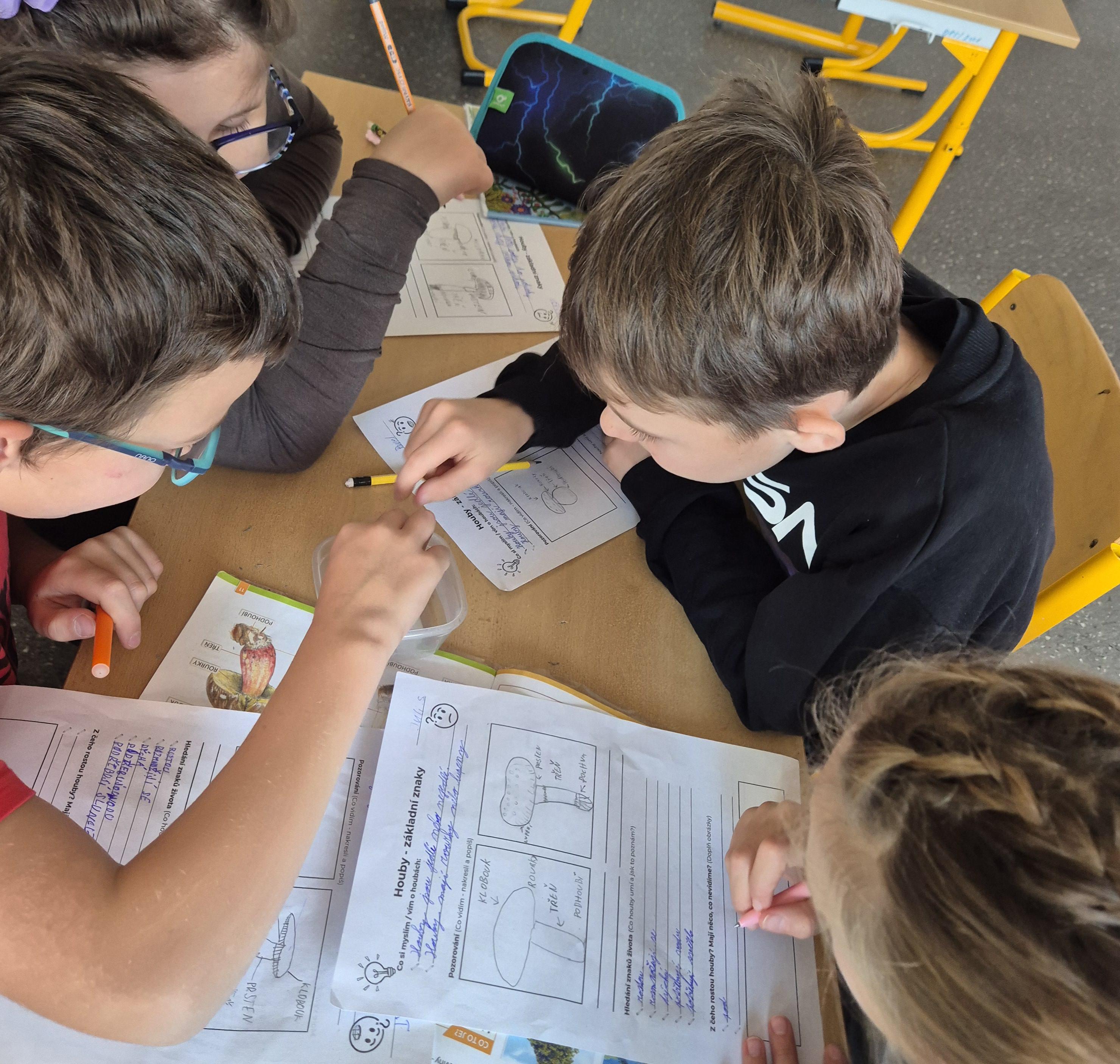 Houbařské bádání 4.B