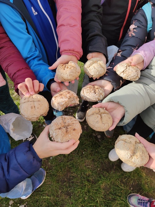 Od zrníčka po pecen chleba - říjen 2024