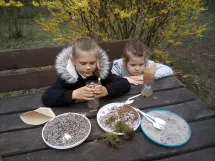 Pokusy - duben 2022