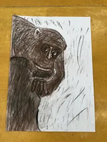 Zvířata - 1.stupeň - březen 2026