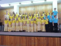 31. 3. 2015 - DPS Sluníčka - Krajská přehlídka DPS v Rokycanech