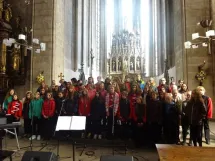 15. 5. 2016 - DPS Mariella - festival Letnice umělců 2016 v katedrále sv. Bartoloměje