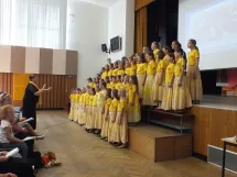 14. 6. 2016 - DPS Sluníčka - Závěrečný koncert v SOUE Vejprnická