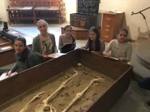 Pravěk- 6. třídy v muzeu- listopad 2017