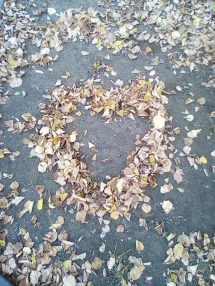 Landart očima dětí z 12.odd. - podzim 2019