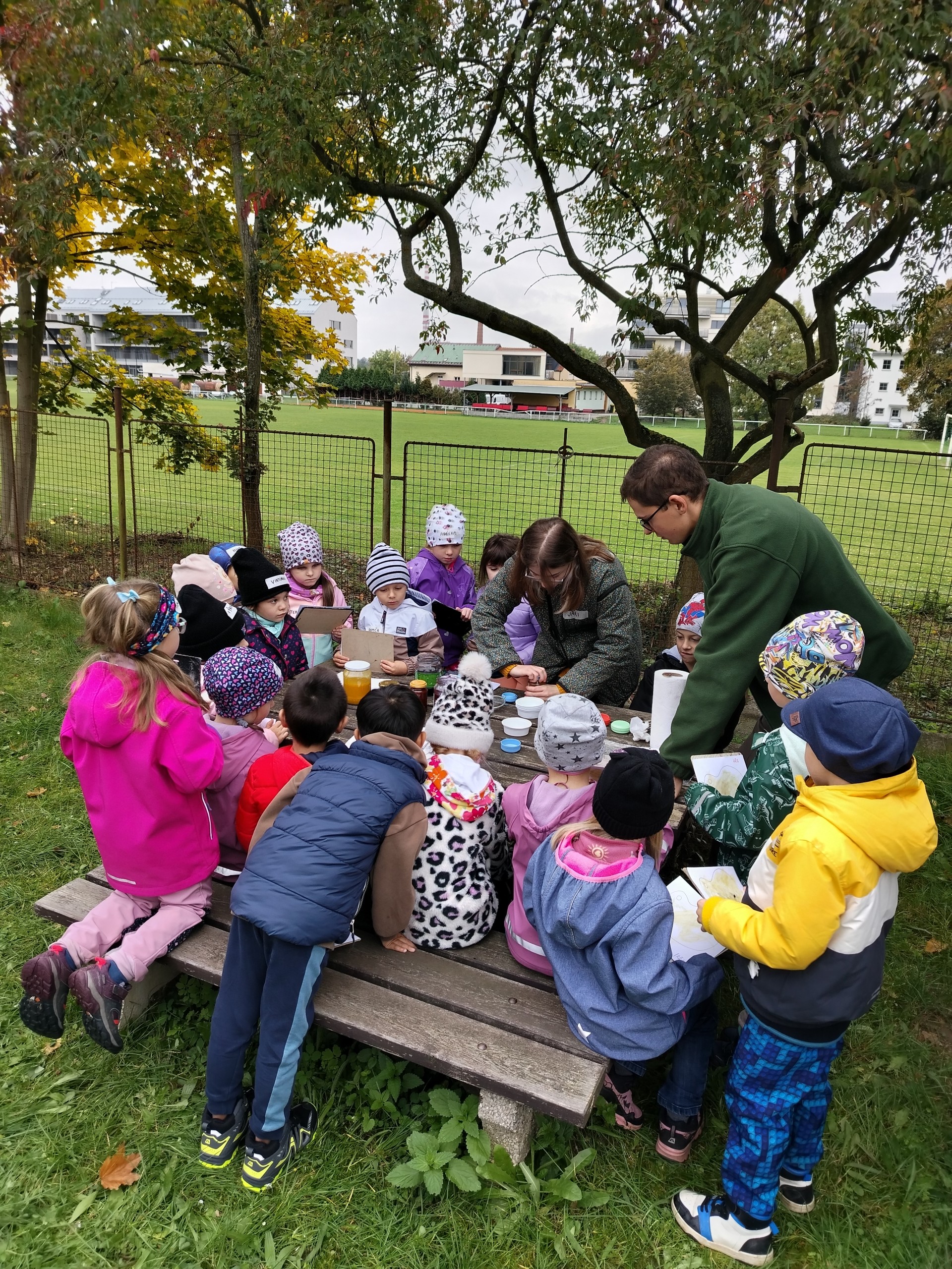 Ametyst - Ještěrky 