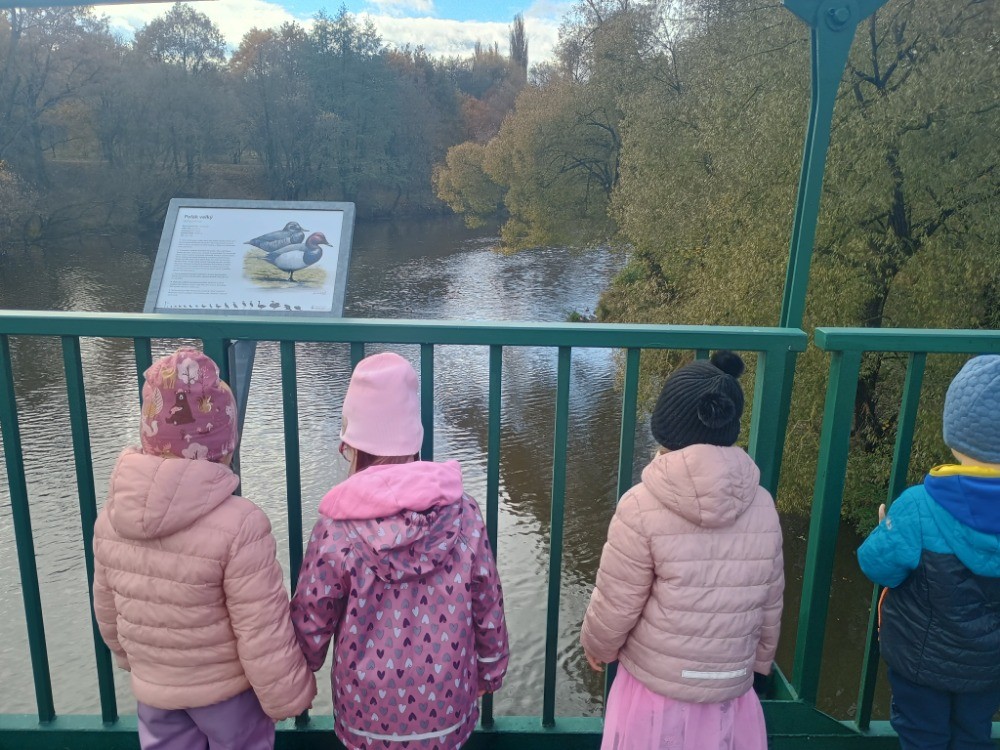 Procházka na Doubraveckou lávku (žabičky)