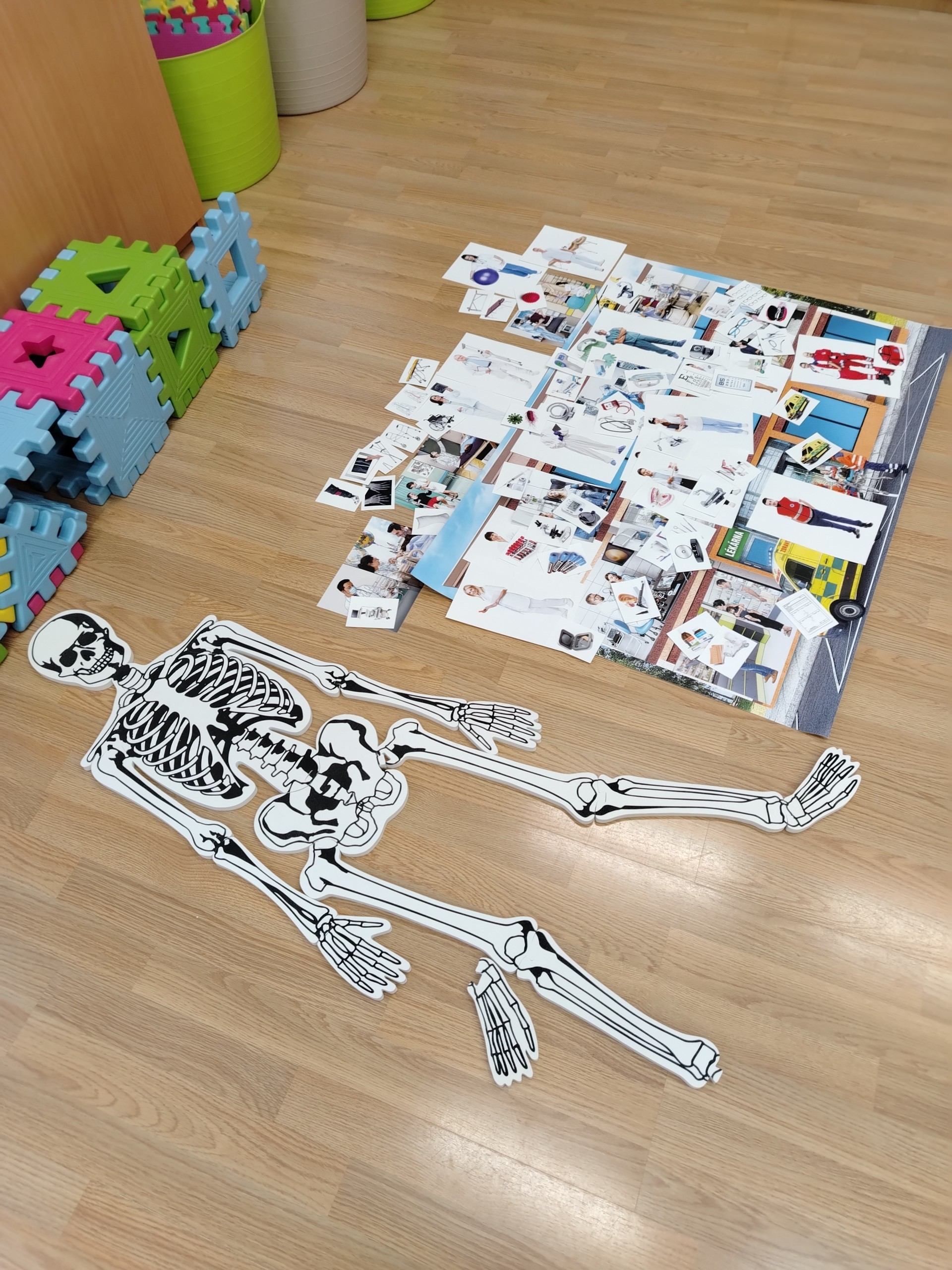 JEŠTĚRKY - LIDSKÉ TĚLO