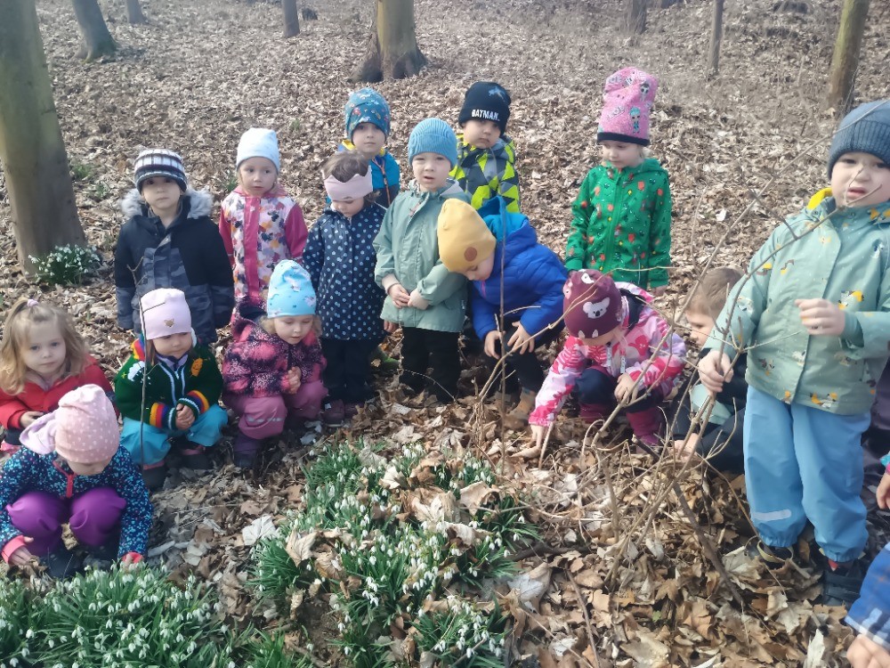 Vycházka do sněženkového háje (žabičky)