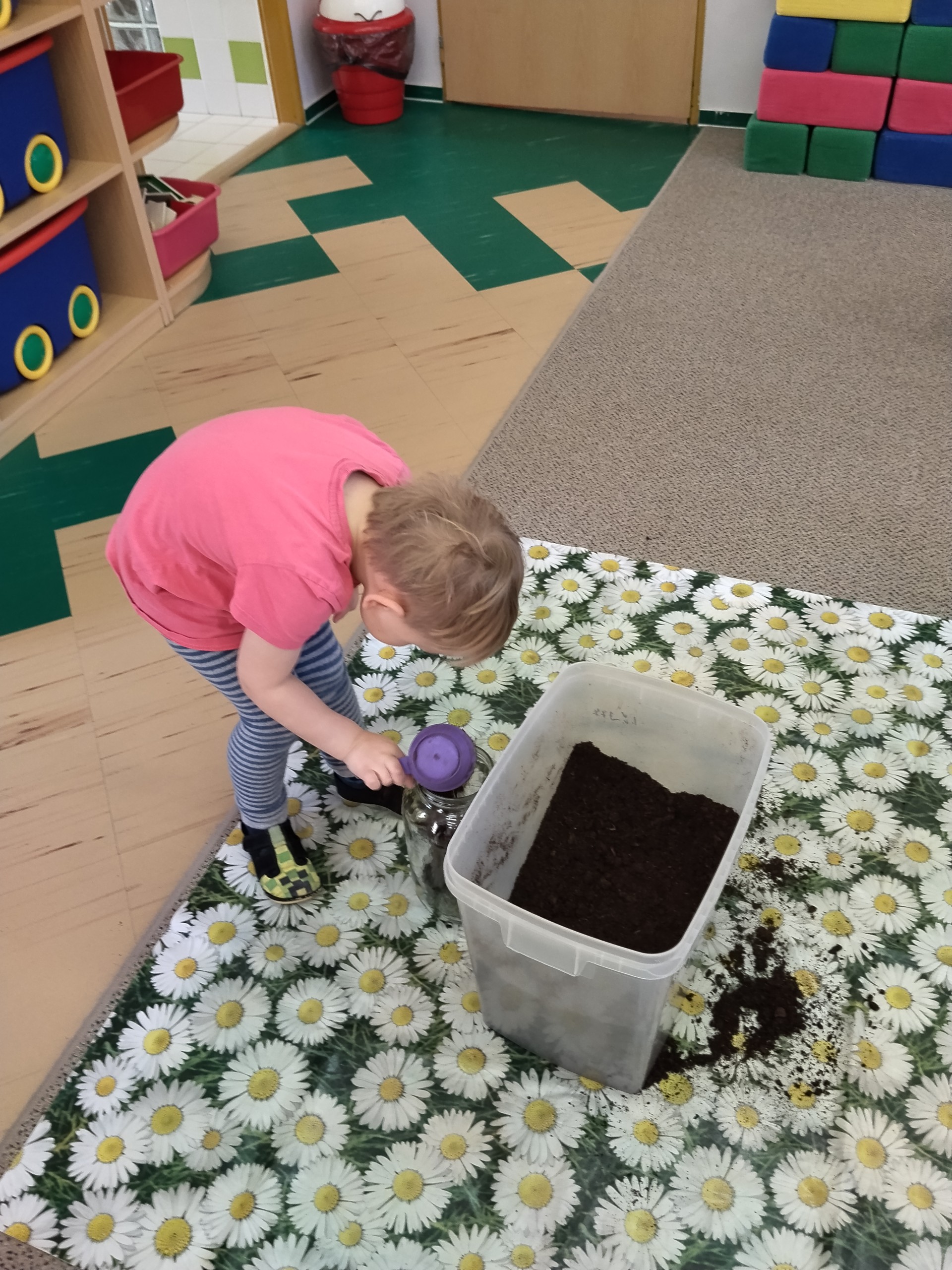 SEJEME SEMÍNKA - LIŠTIČKY