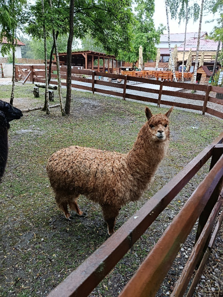 FARMAPARK U TOMA-JEŠTĚRKY