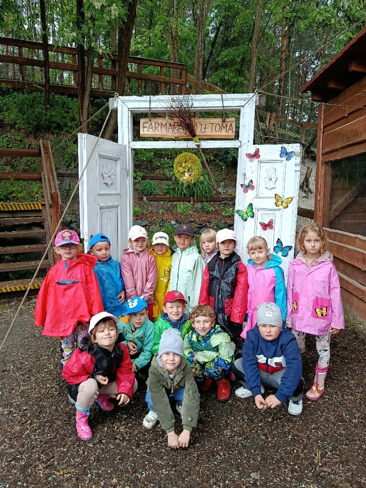 Farmapark u Toma - ještěrky
