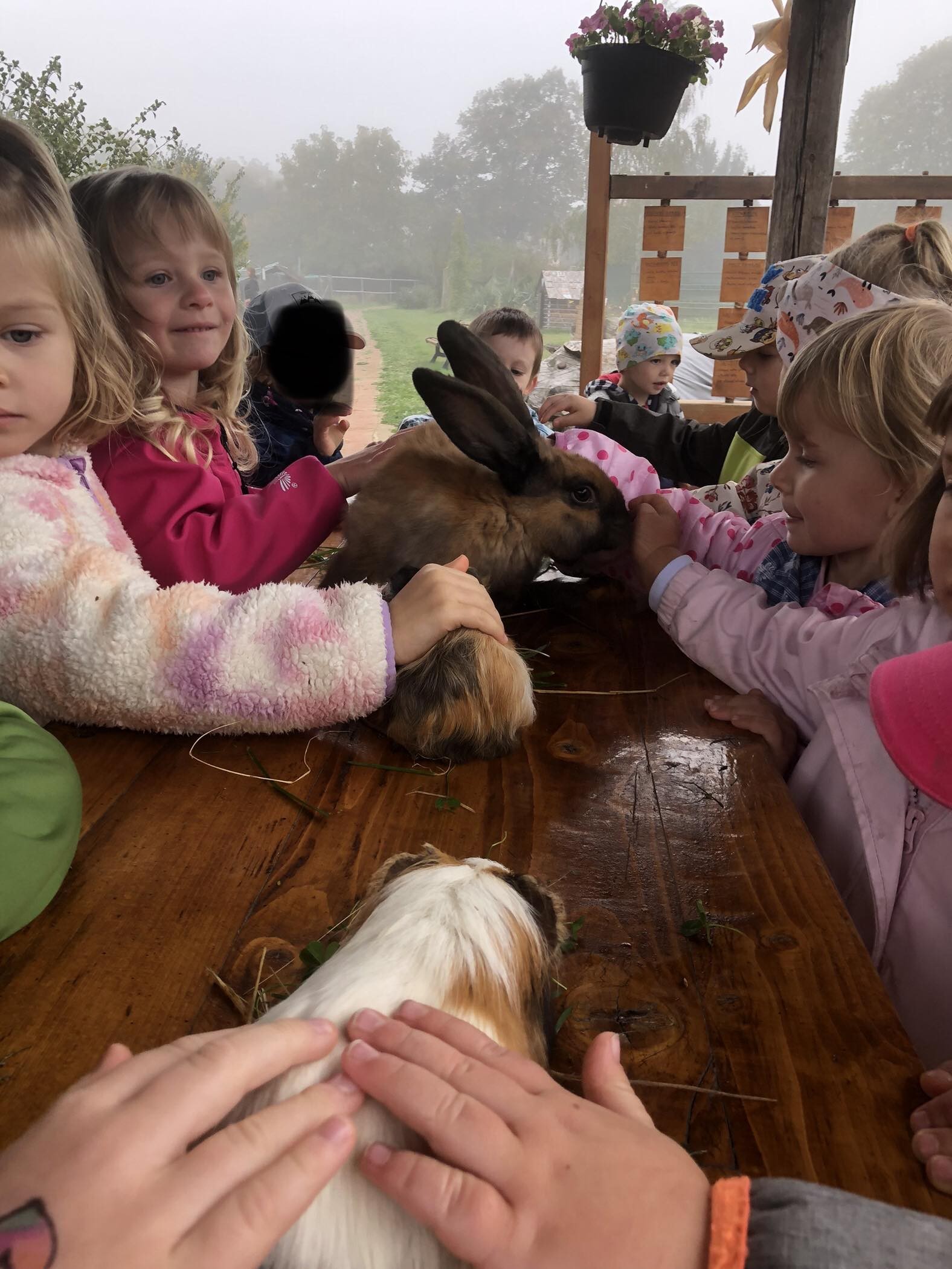 Barevný podzim na farmě - Újezd nade Mží (žabičky)