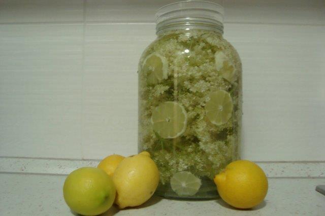 TIP NA LÉTO - DOMÁCÍ LIMONÁDY