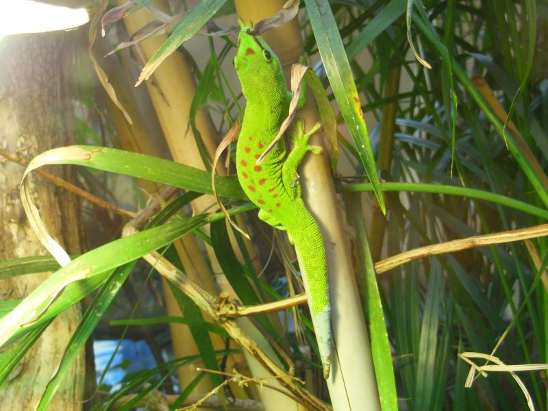 Zoo