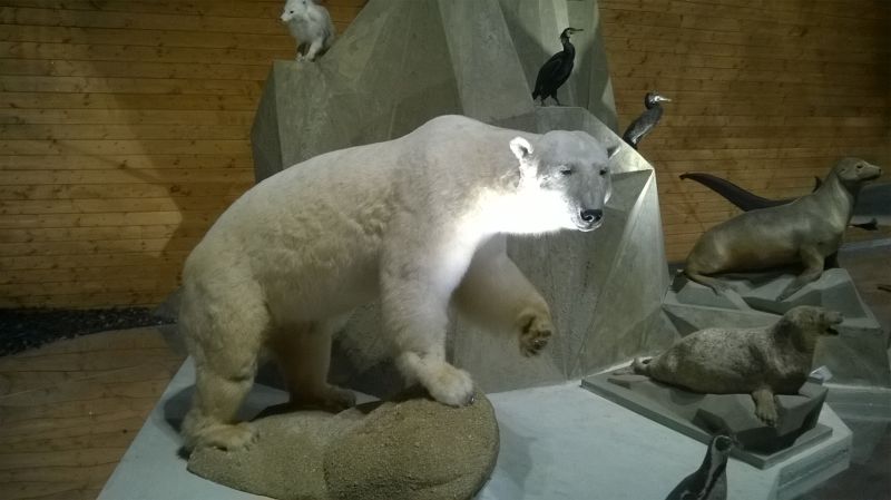 Národní muzeum