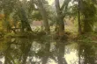 Přp - Bobr Evropský