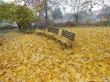 Podzim na školní zahradě