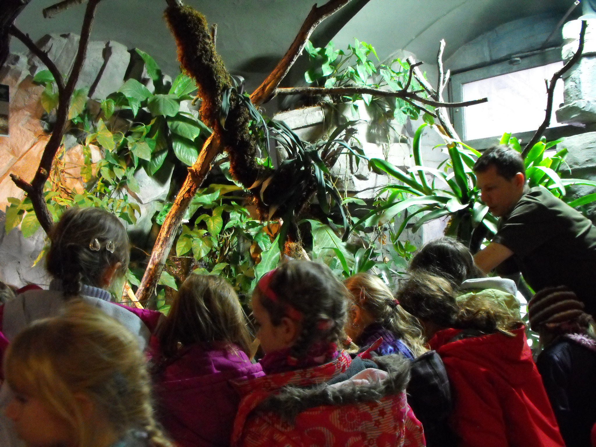 Na návštěvě u zvířátek