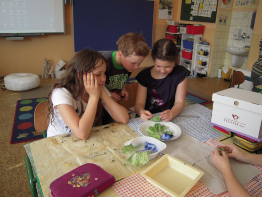 Mezinárodní projekt ENGINEER – 3. část