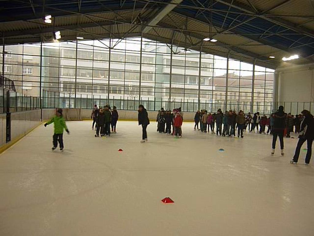 Lednové bruslení