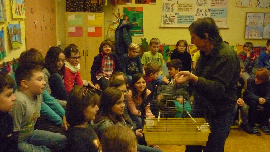 Šplhavci a obyvatelé lesních dutin